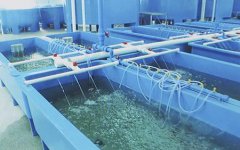 在工業(yè)循環(huán)冷卻水中的應用